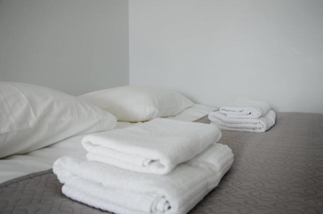 Vytautas Park Apartment With Free Parking Marijampole Luaran gambar